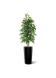 Albero artificiale Longifolia Royal 175 cm