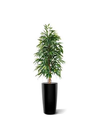 Albero artificiale Longifolia Royal 175 cm