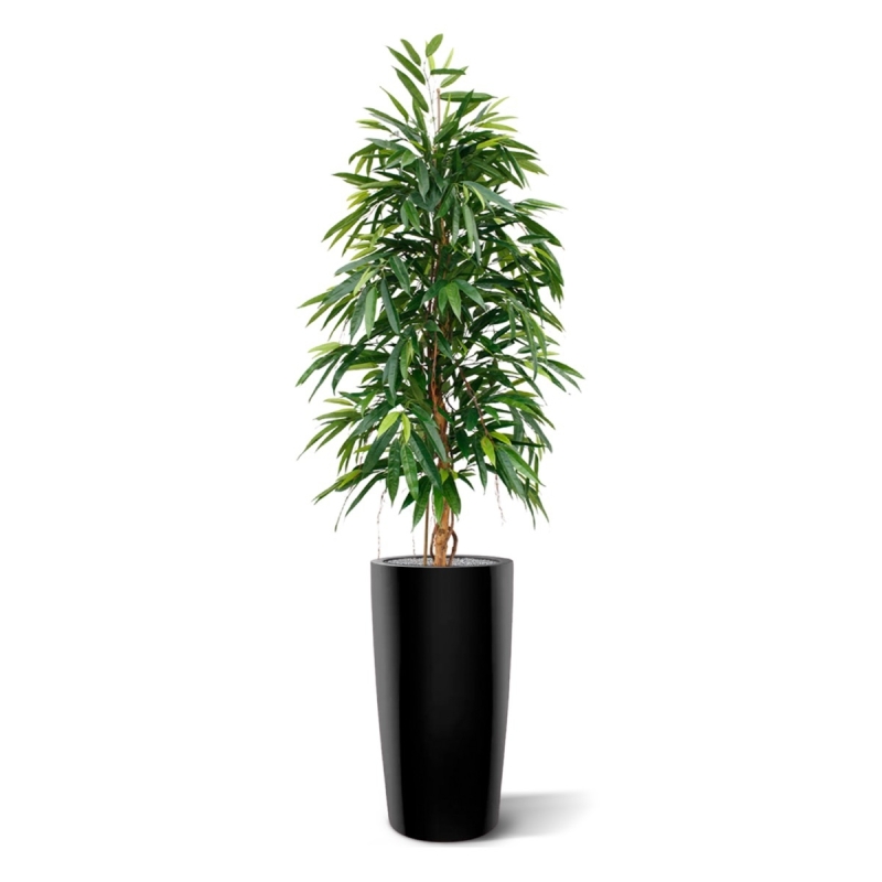 Albero artificiale Longifolia Royal 175 cm