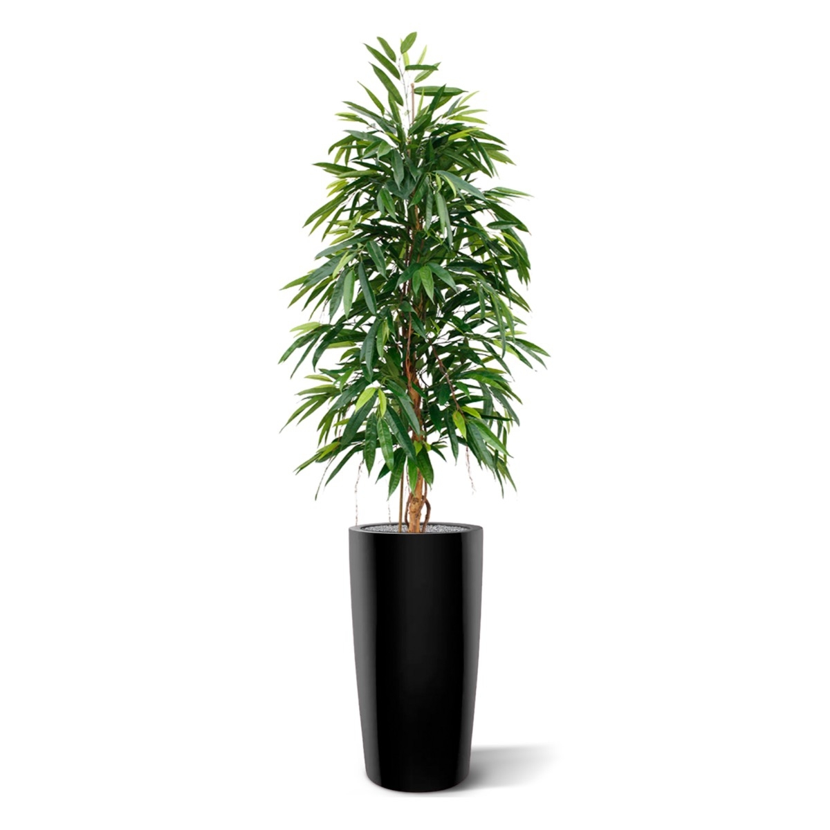 Albero artificiale Longifolia Royal 175 cm