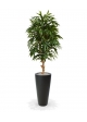 Albero artificiale Longifolia Royal deluxe 165cm