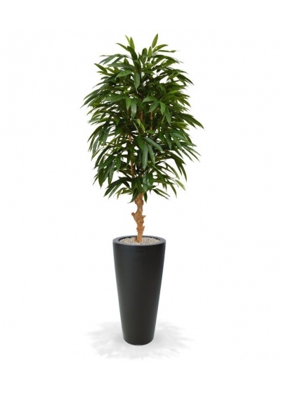 Albero artificiale Longifolia Royal deluxe 165cm