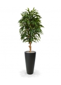 Albero artificiale Longifolia Royal deluxe 165cm