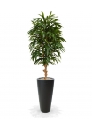 Albero artificiale Longifolia Royal deluxe 165cm