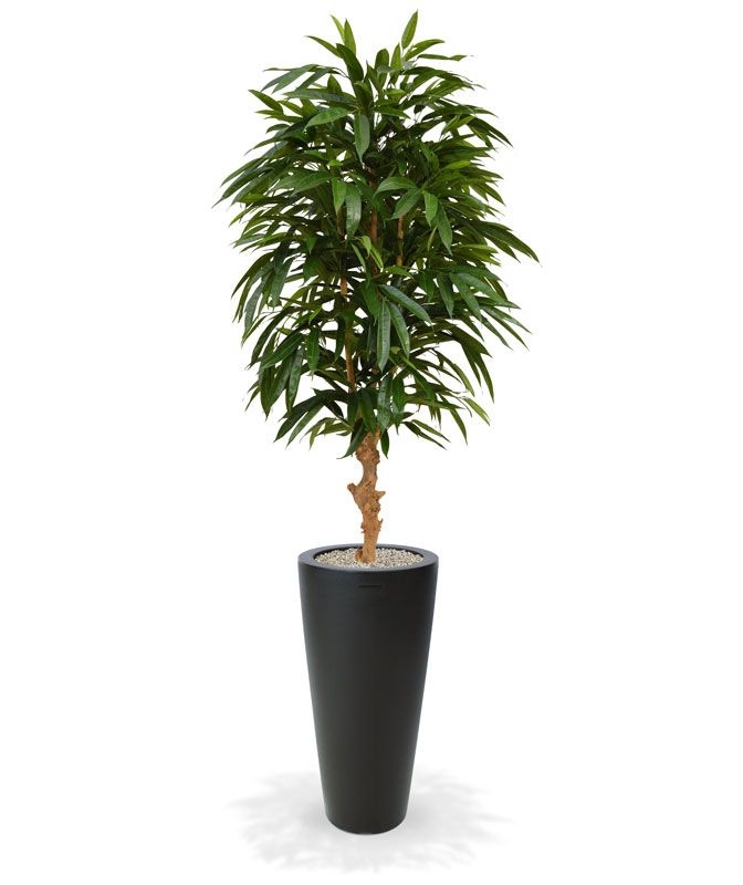 Albero artificiale Longifolia Royal deluxe 165cm