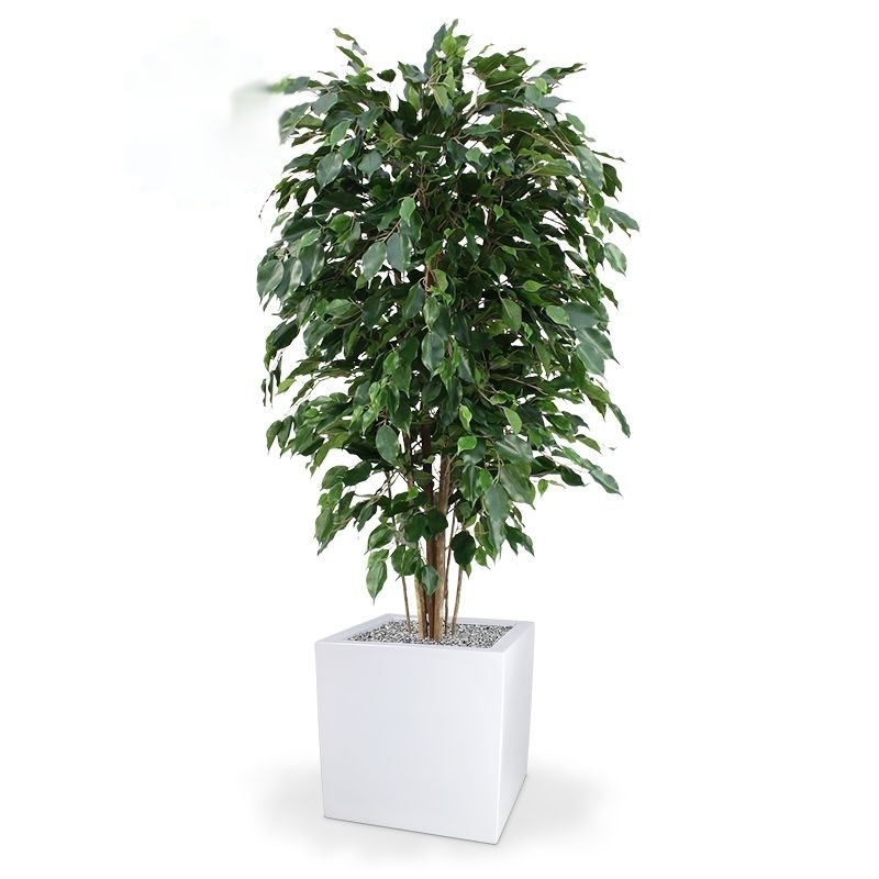 Pianta artificiale Ficus Exotica deluxe 150 cm - verde - FR - ignifuga