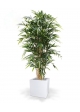 Albero artificiale di bambù deluxe 180 cm - FR - ignifugo