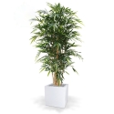 Albero artificiale di bambù deluxe 180 cm - FR - ignifugo