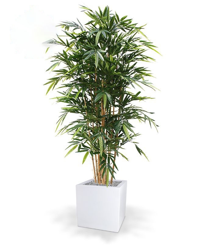 Albero artificiale di bambù deluxe 180 cm - FR - ignifugo