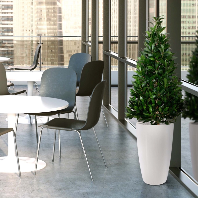Pianta artificiale Laurel Tower 115 cm