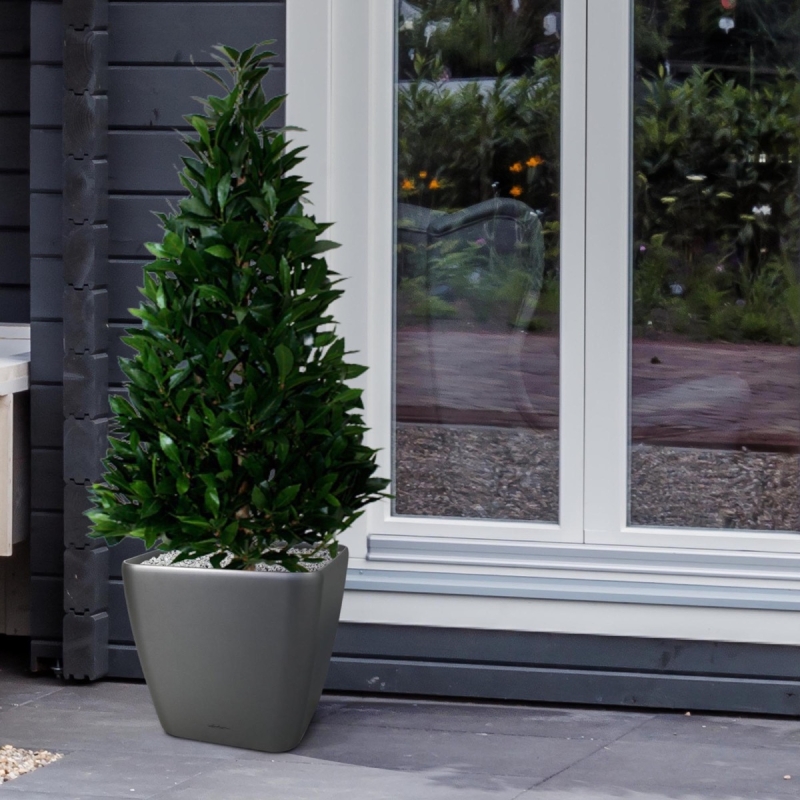 Pianta artificiale Laurel Tower 115 cm