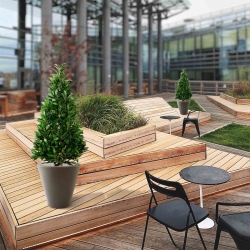 Pianta artificiale Laurel Tower 115 cm