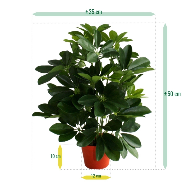 Schefflera da finestra pianta artificiale 50 cm