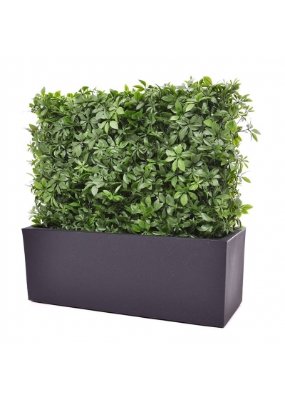 Siepe artificiale Schefflera 80x25x56cm - resistente ai raggi UV