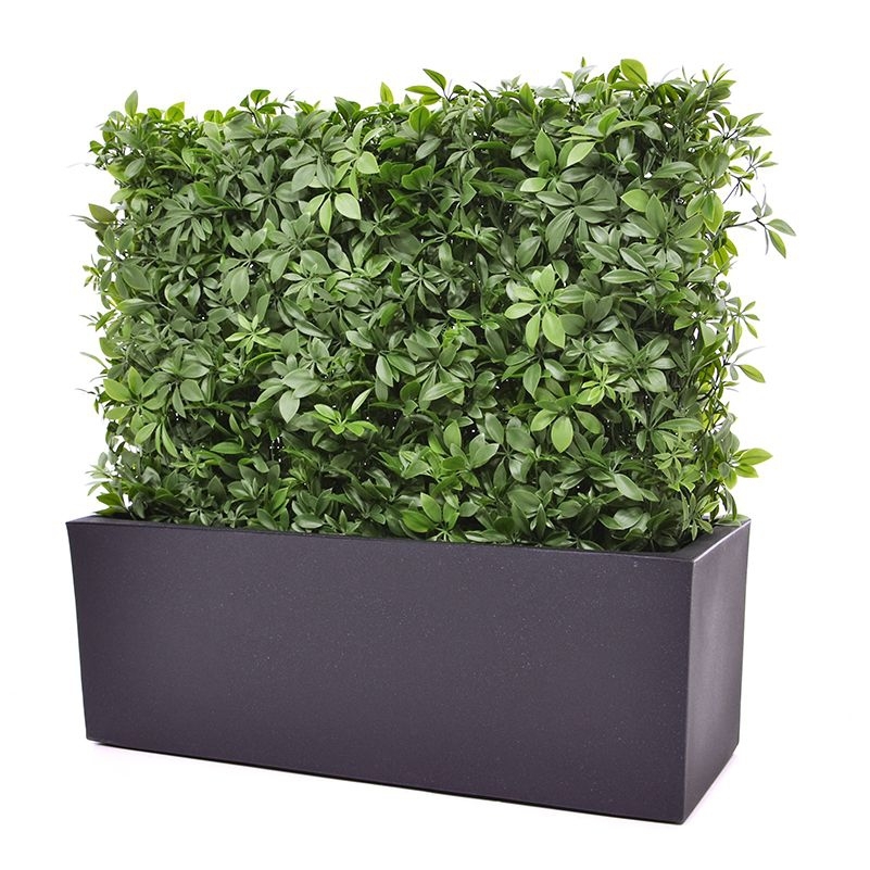 Siepe artificiale Schefflera 80x25x56cm - resistente ai raggi UV