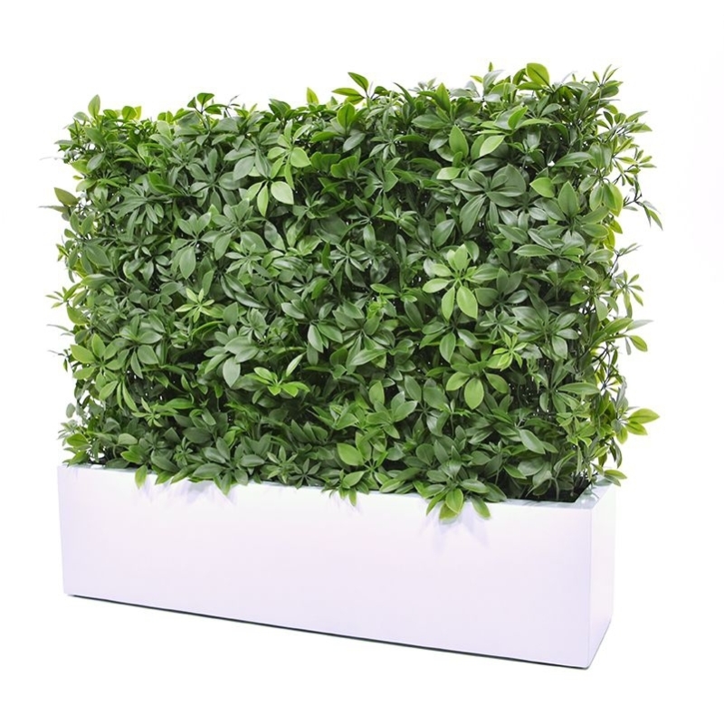 Siepe artificiale Schefflera 80x25x56cm - resistente ai raggi UV