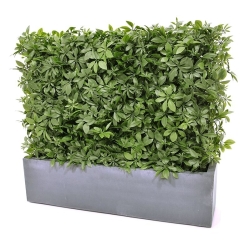 Siepe artificiale Schefflera 80x25x56cm - resistente ai raggi UV