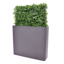 Siepe artificiale Schefflera 80x25x56cm - resistente ai raggi UV