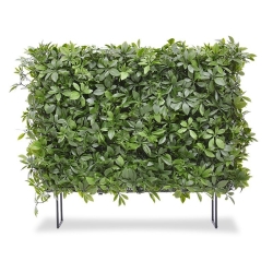 Siepe artificiale Schefflera 80x25x56cm - resistente ai raggi UV