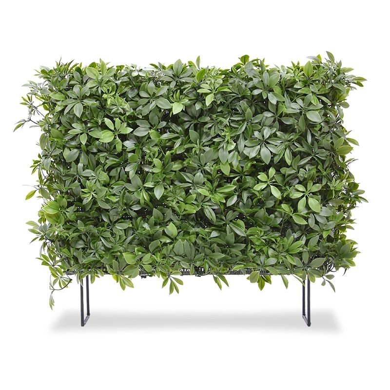 Siepe artificiale Schefflera 80x25x56cm - resistente ai raggi UV
