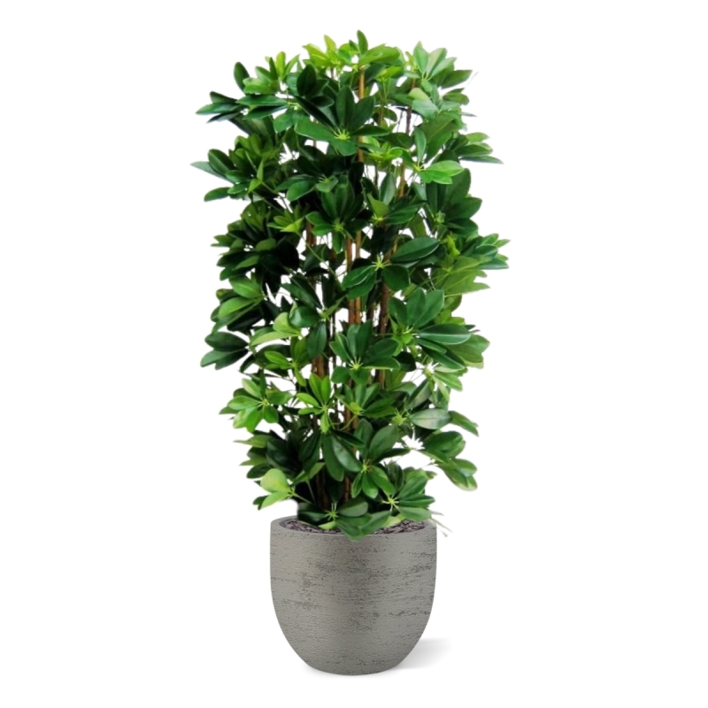 Pianta artificiale a colonna Schefflera 120cm