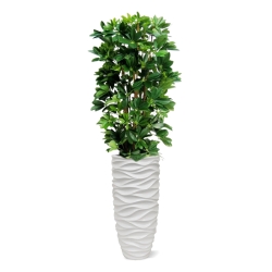 Pianta artificiale a colonna Schefflera 120cm