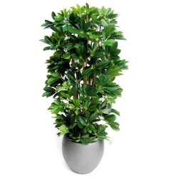Pianta artificiale a colonna Schefflera 120cm