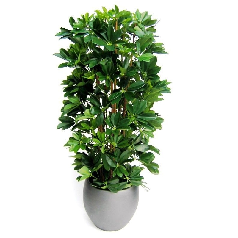 Pianta artificiale a colonna Schefflera 120cm