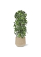 Albero artificiale a colonna Schefflera 120 cm - resistente ai raggi UV