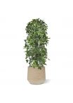Albero artificiale a colonna Schefflera 120 cm - resistente ai raggi UV
