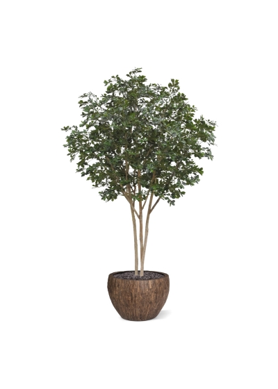 Albero Ulivo Orientale Deluxe Artificiale 310cm
