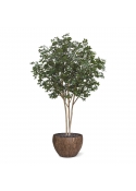 Albero Ulivo Orientale Deluxe Artificiale 310cm