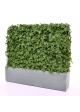 Siepe artificiale Hedera 80x25x56cm - resistente ai raggi UV