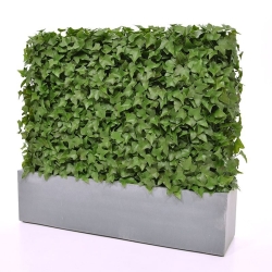 Siepe artificiale Hedera 80x25x56cm - resistente ai raggi UV