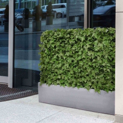 Siepe artificiale Hedera 80x25x56cm - resistente ai raggi UV