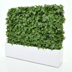 Siepe artificiale Hedera 80x25x56cm - resistente ai raggi UV
