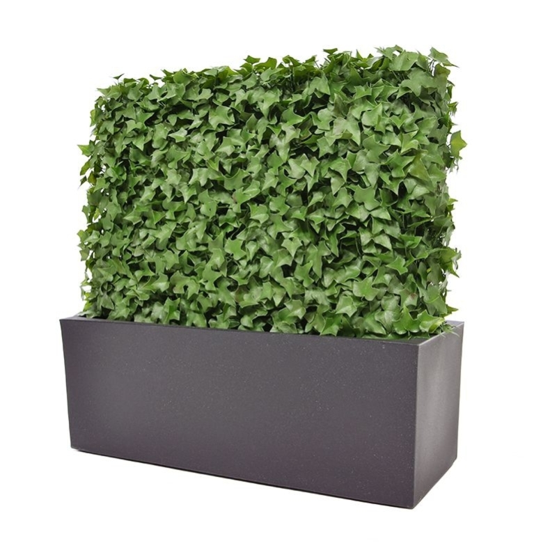 Siepe artificiale Hedera 80x25x56cm - resistente ai raggi UV
