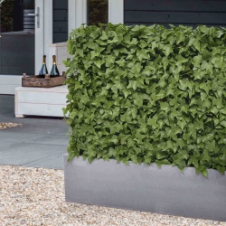 Siepe artificiale Hedera 80x25x56cm - resistente ai raggi UV