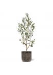 Ulivo Artificiale N 90cm