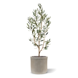 Ulivo Artificiale N 90cm
