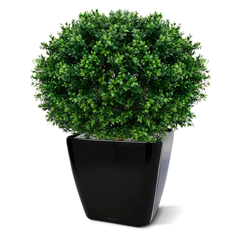Bulbo artificiale di Buxus deluxe 70 cm - resistente ai raggi UV