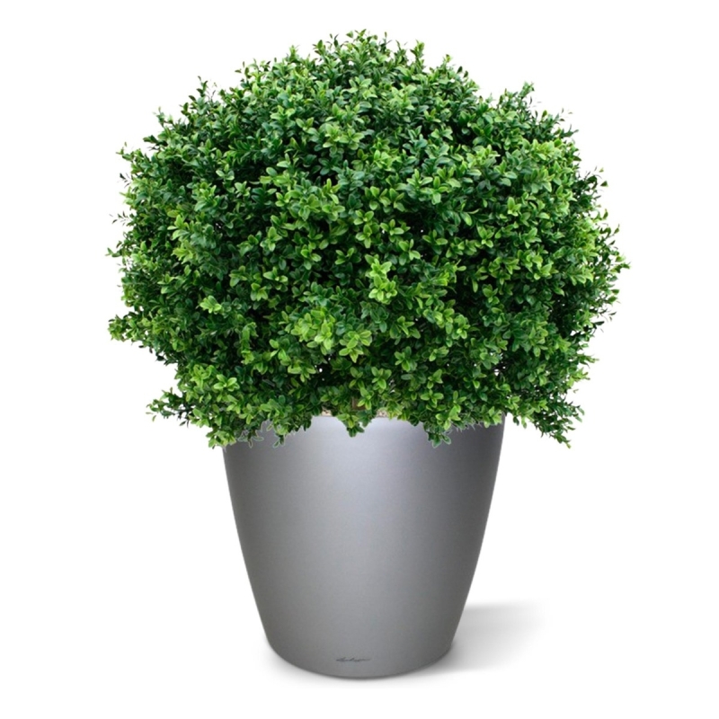 Pianta artificiale di bosso bulbosa deluxe da 80 cm - resistente ai raggi UV