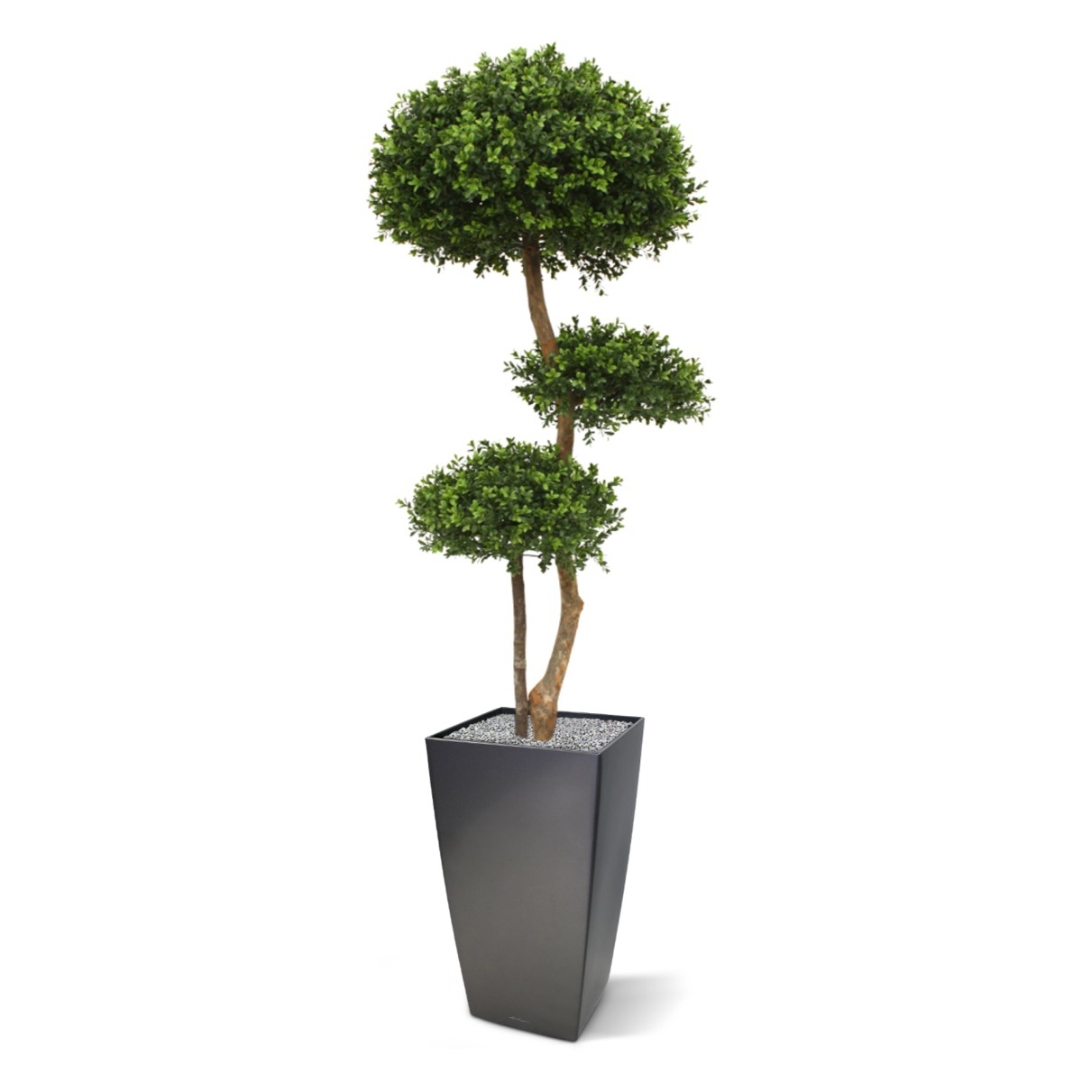 Bosso bulbo deluxe x3 pianta artificiale 140cm - resistente ai raggi UV