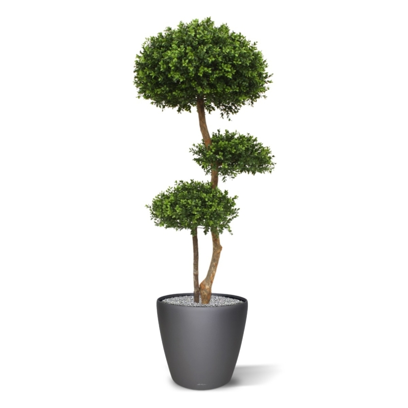 Bosso bulbo deluxe x3 pianta artificiale 140cm - resistente ai raggi UV