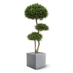 Bosso bulbo deluxe x3 pianta artificiale 140cm - resistente ai raggi UV