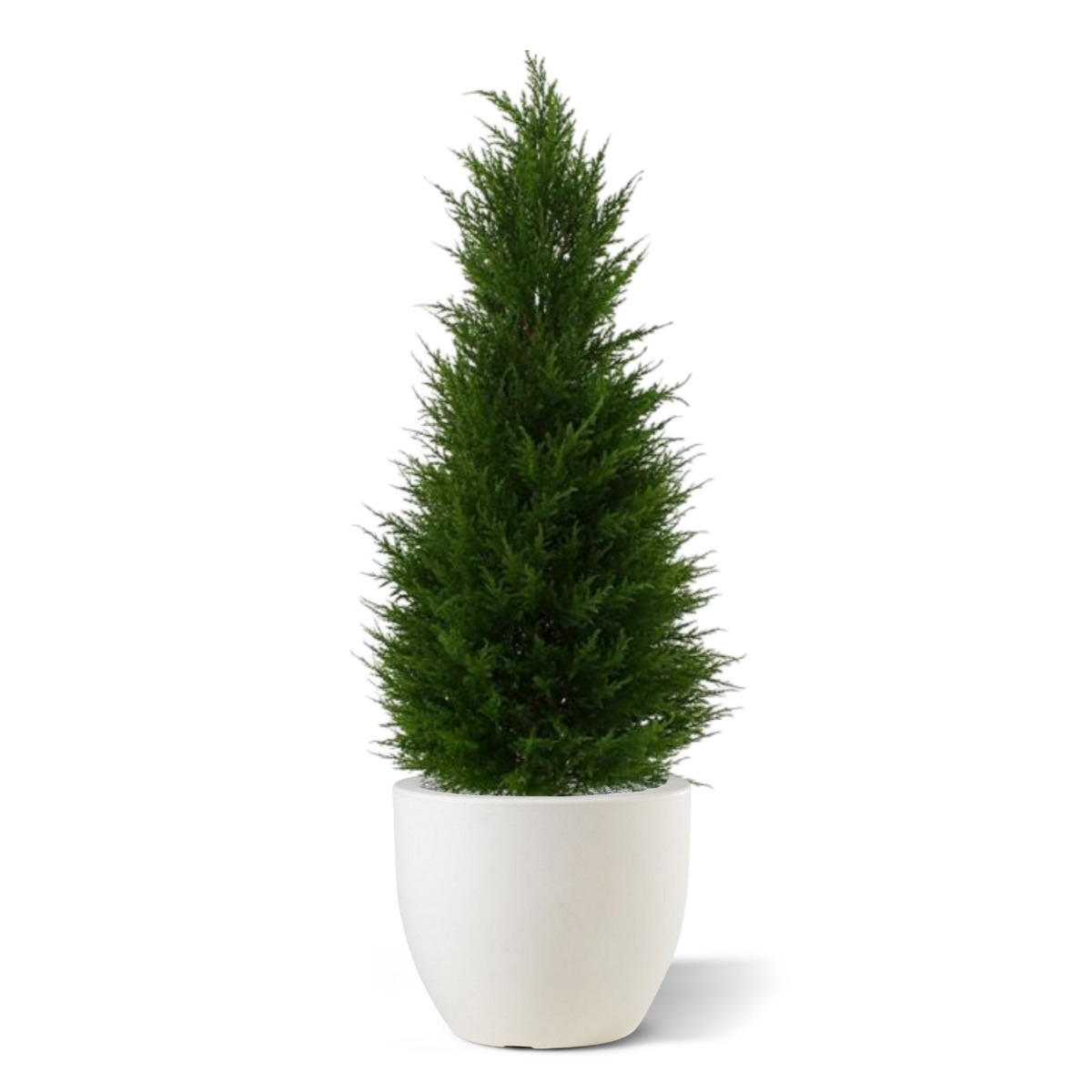 Pianta artificiale di conifera deluxe 100 cm - resistente ai raggi UV