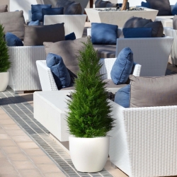 Pianta artificiale di conifera deluxe 100 cm - resistente ai raggi UV