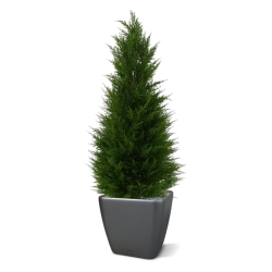 Pianta artificiale di conifera deluxe 100 cm - resistente ai raggi UV