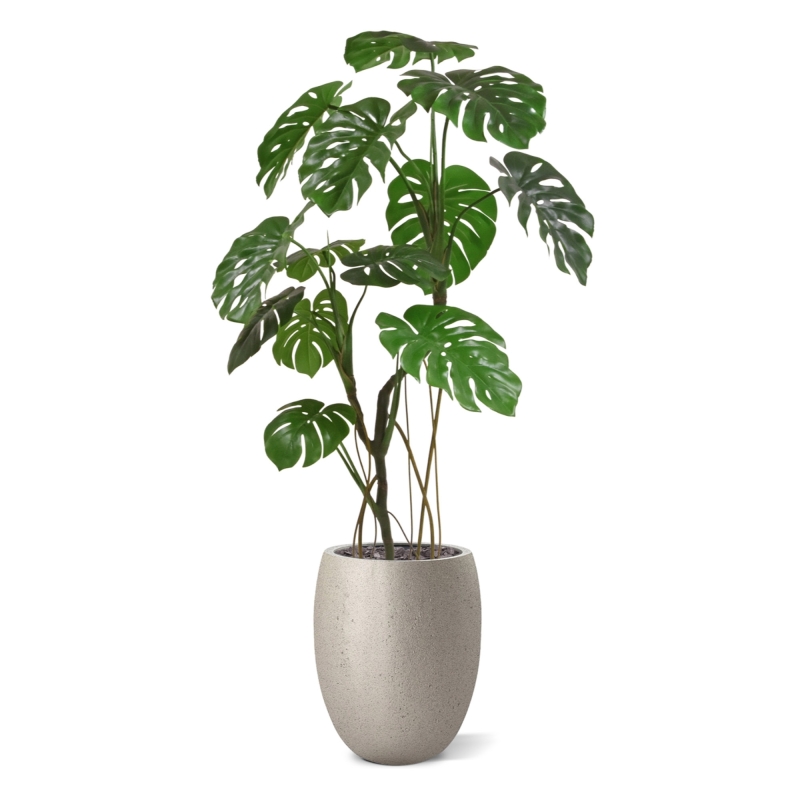 Albero artificiale Monstera 150 cm RT