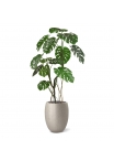 Albero artificiale Monstera 150 cm RT